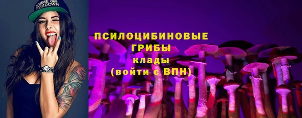 дмт Новодвинск