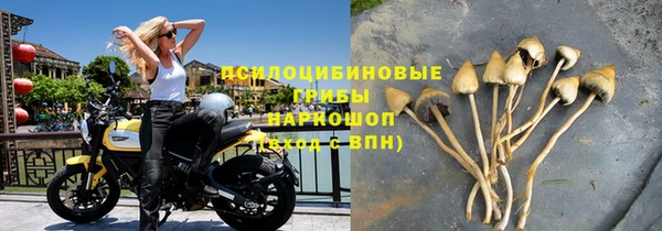 сатива Гусь-Хрустальный