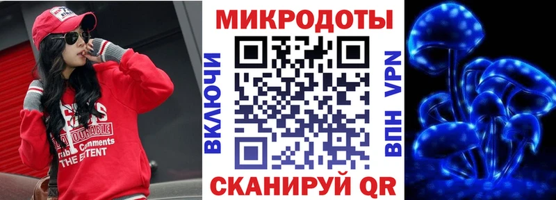 Галлюциногенные грибы Psilocybine cubensis  как найти   Пионерский 